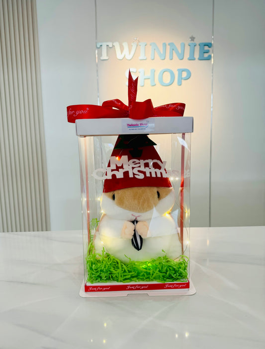 Xmas | Hamster Christmas set