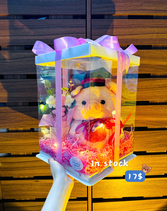 GRA | Graduate piggy set