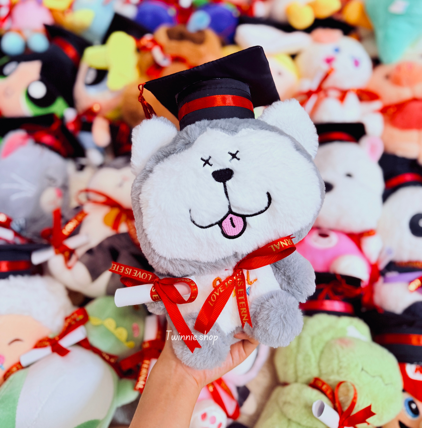 GRASD | Graduate Teddy