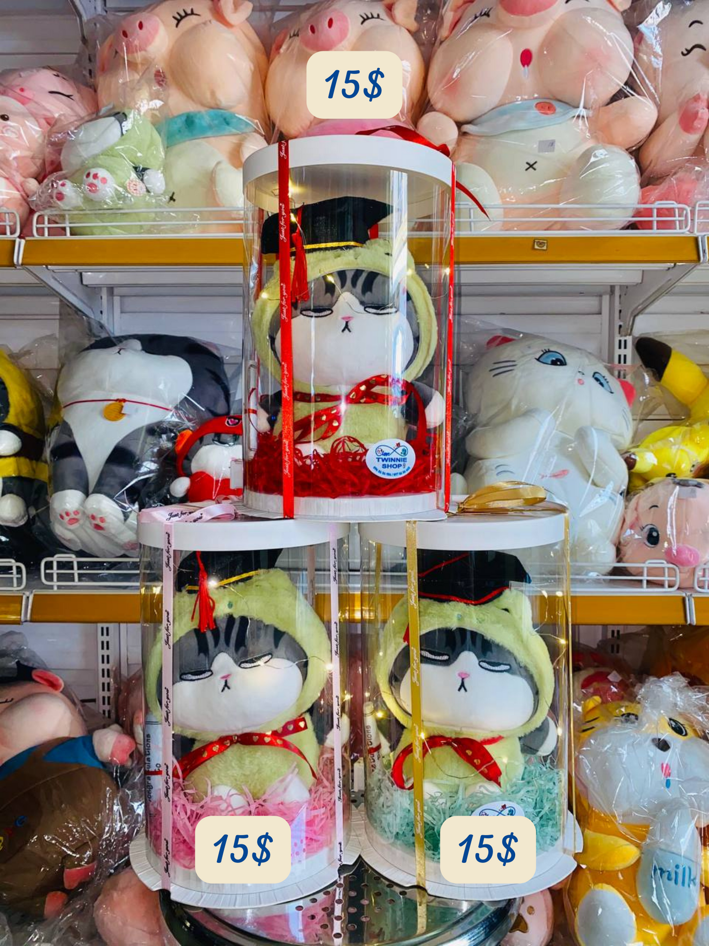 GRA | Colorful cat graduate gift set