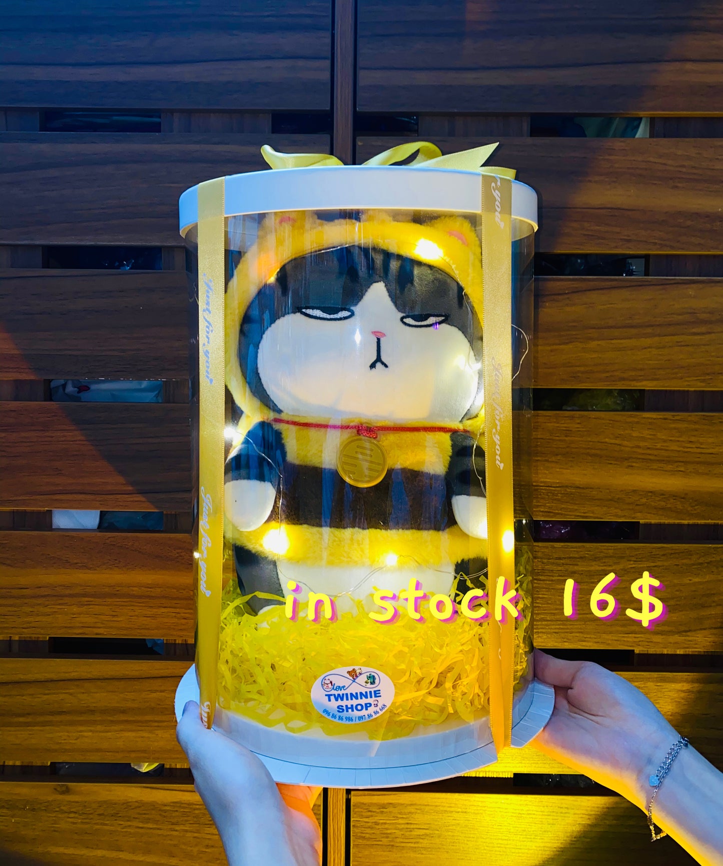 BB | Bee cat gift set