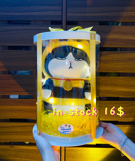 BB | Bee cat gift set