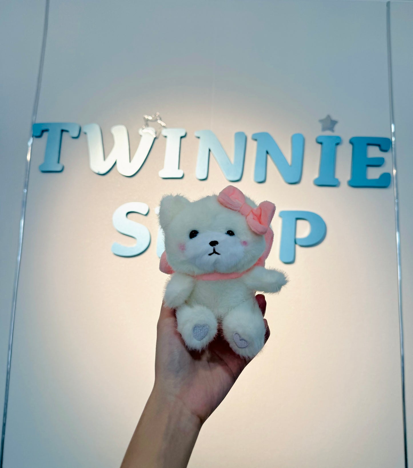 KEY | Ribbon bear keychain