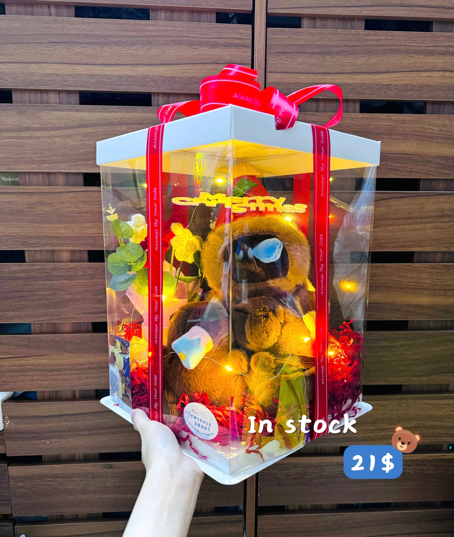 Xmas | Capybara gift set