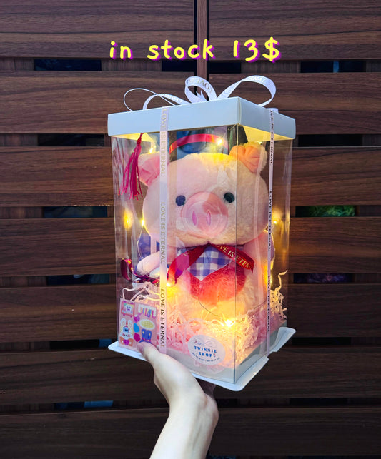 GRA | Chuhby pig graduate box