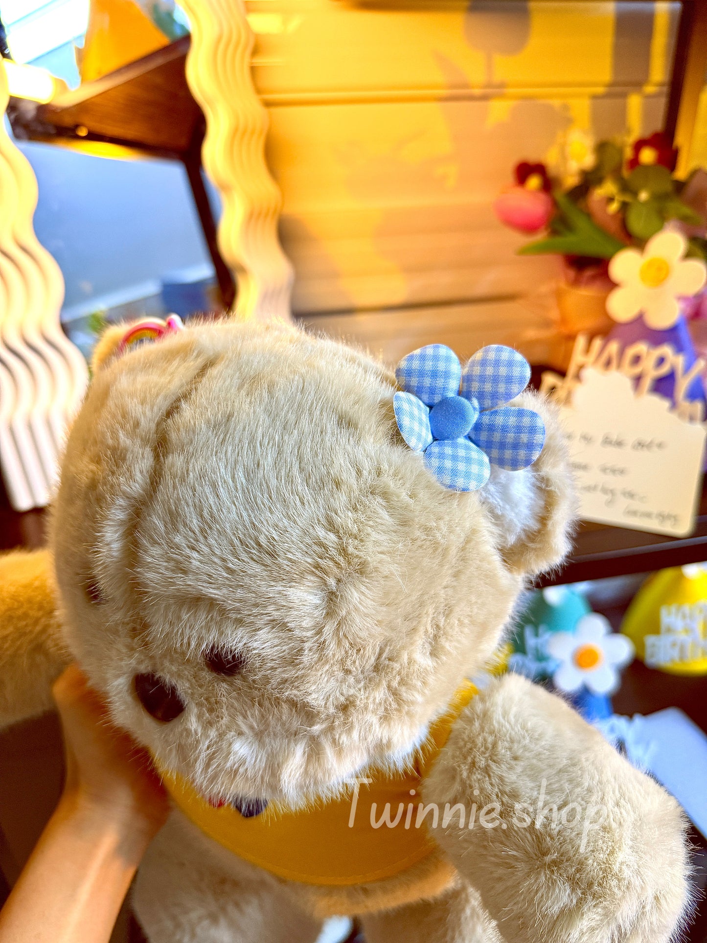 BT | Brown Bear