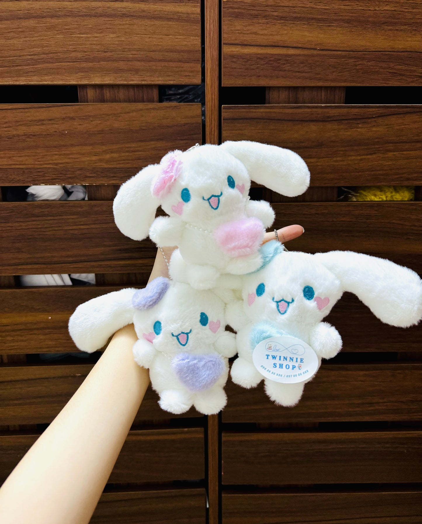 KEY | Sanrio keychain