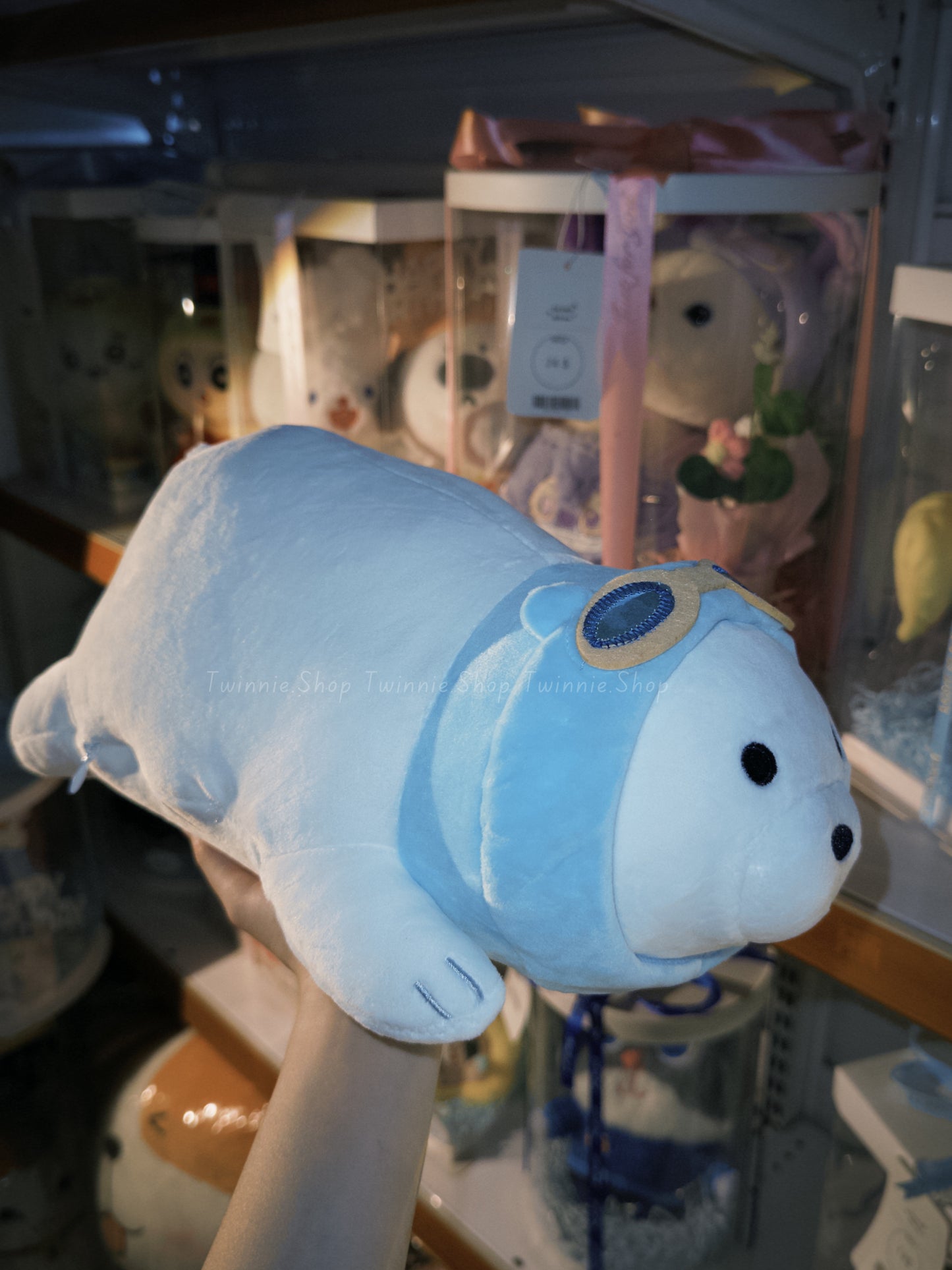 SD | Glasses ice bear