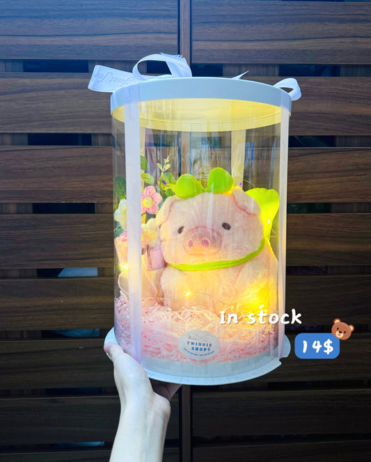SRBFW | Piggy flower box