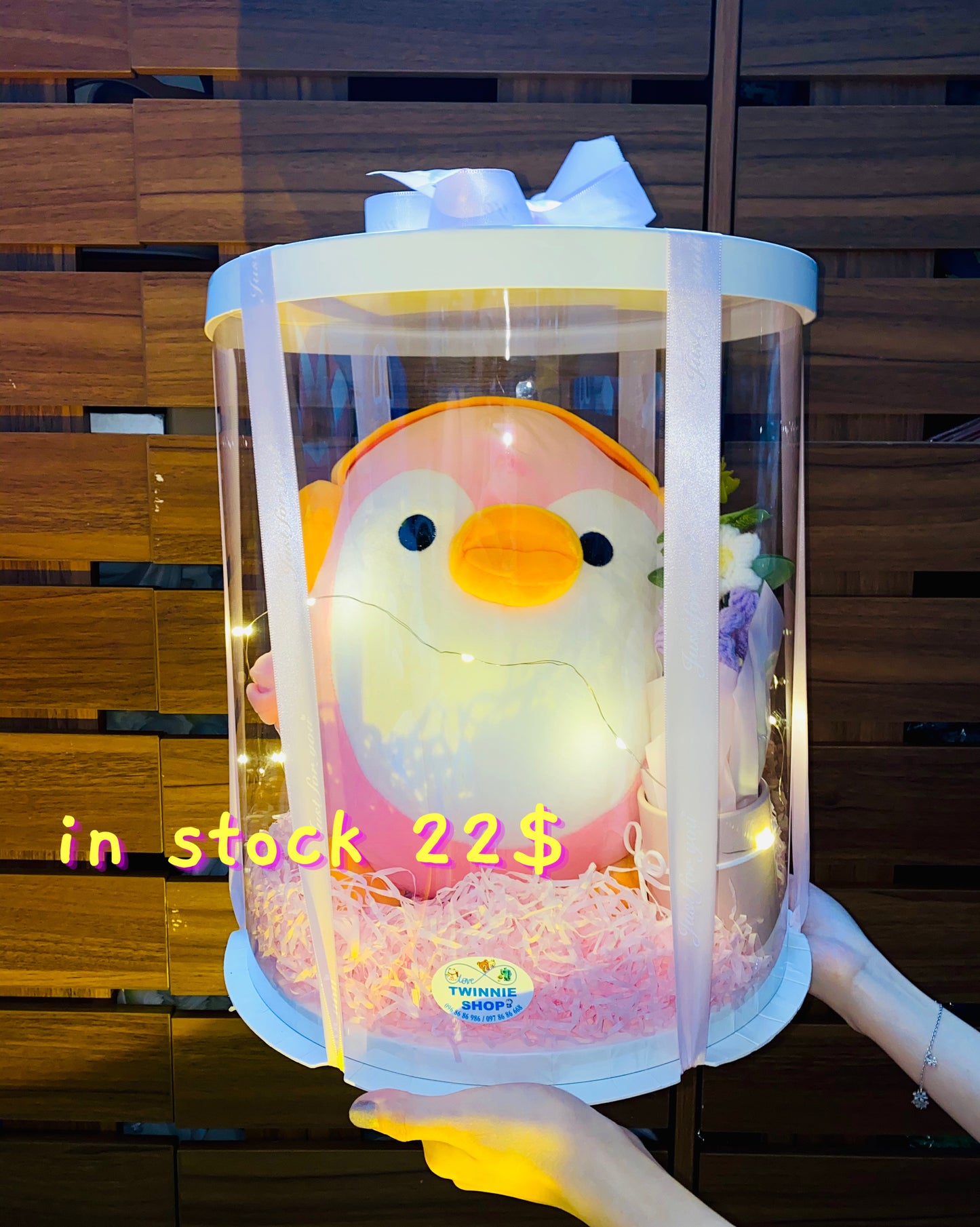 BB | Penguin gift box