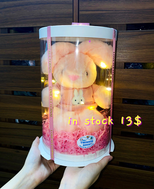 SRB | Hoodie bunny gift box