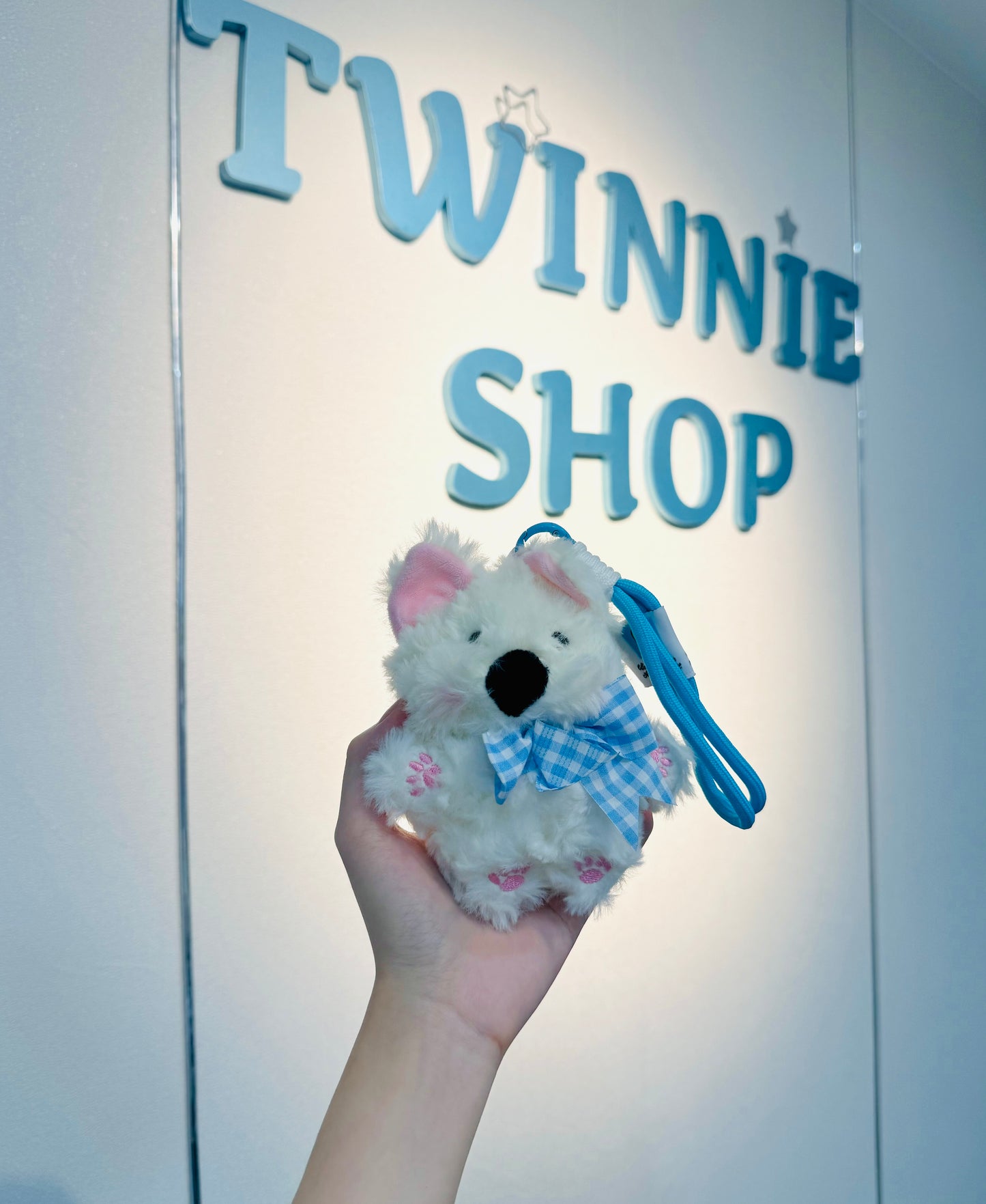 Mg | Ribbon puppy keychain