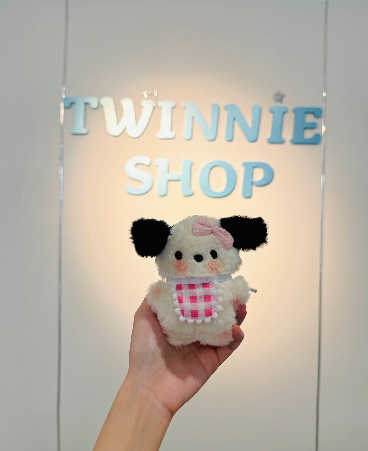 KEY | Pochacoo keychain