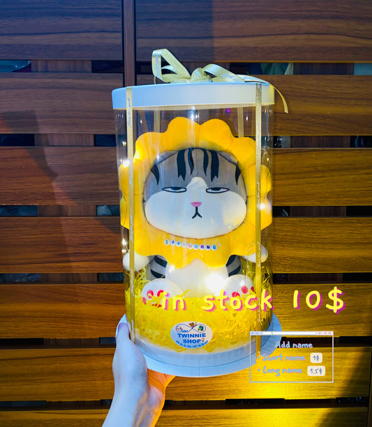 SRB10 | Moody cat gift box