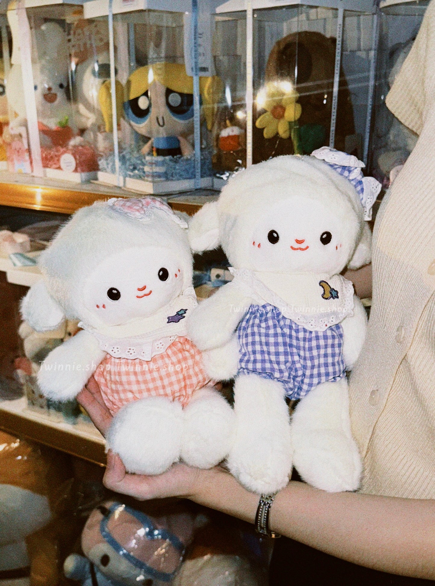 SD | White ribbon sheep