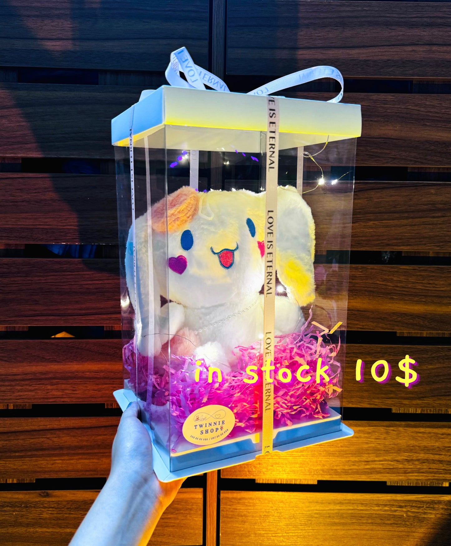 SRB | Cinamoroll gift set