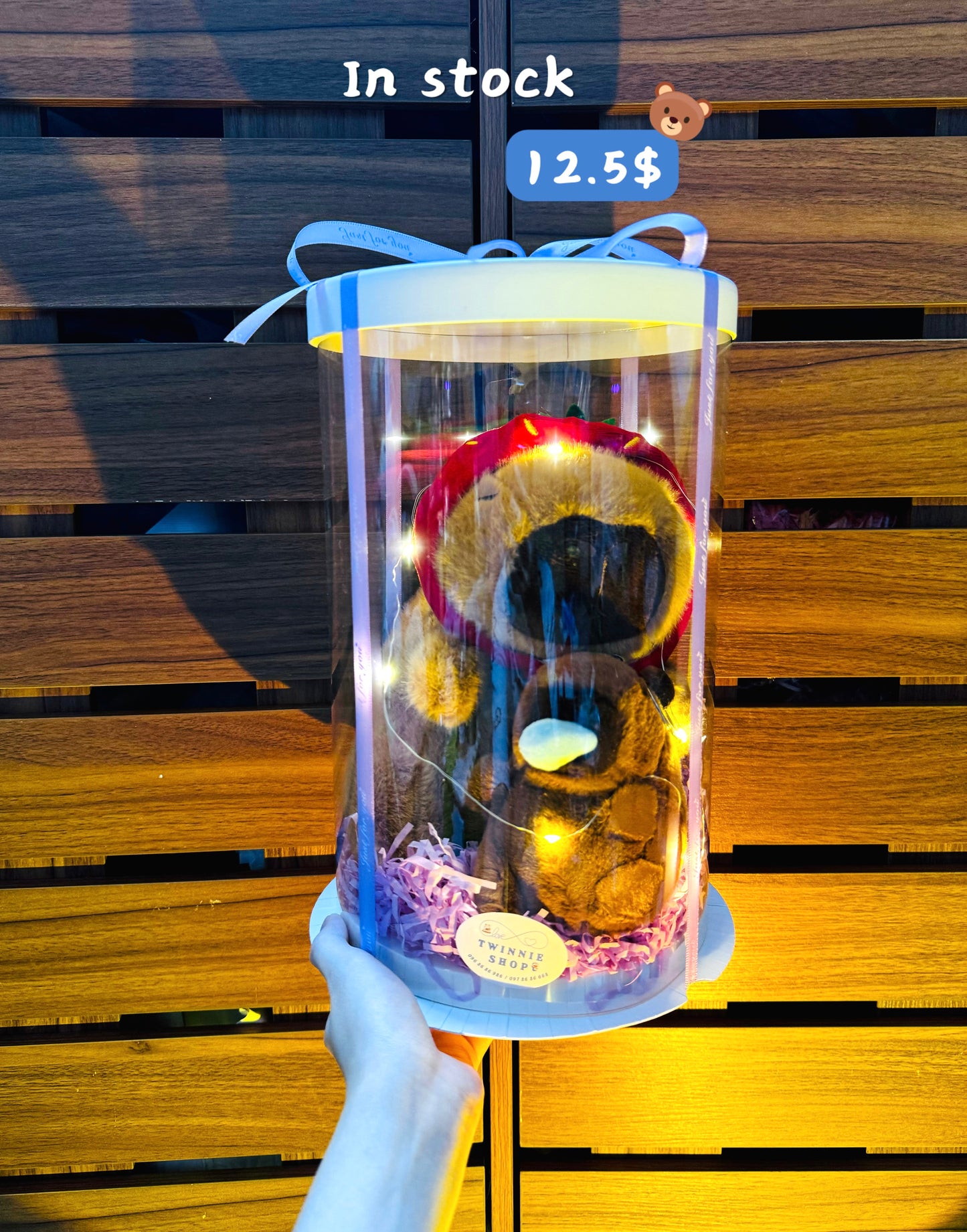 SRBK | Capybara mix keychain set