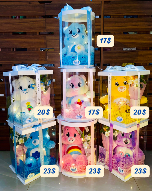 BB | Care bear 30cm set