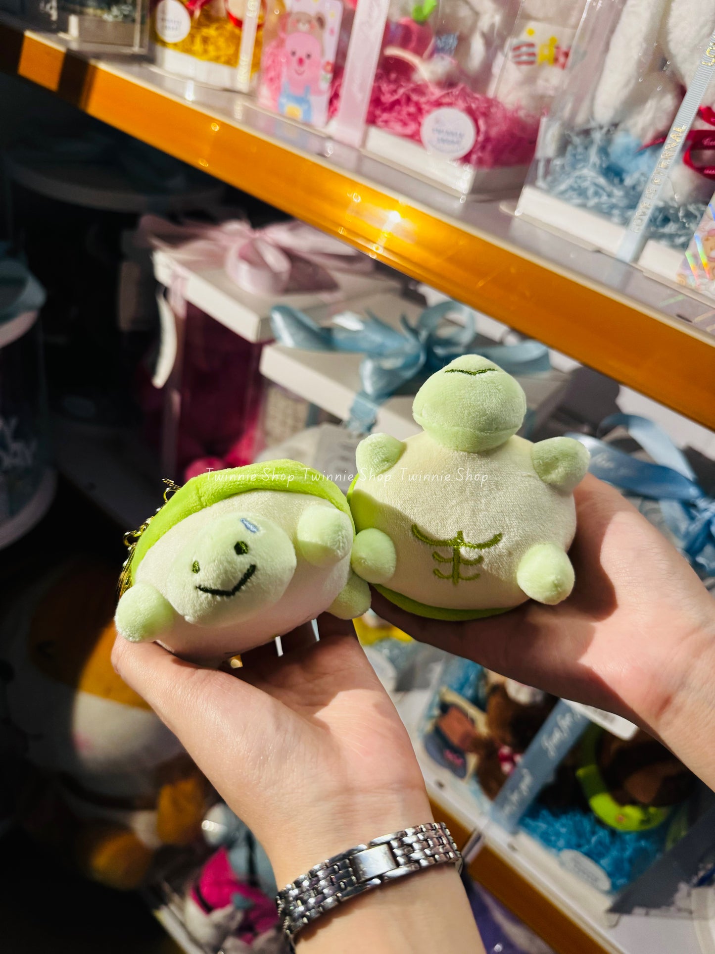 KEY | Turtle keychain