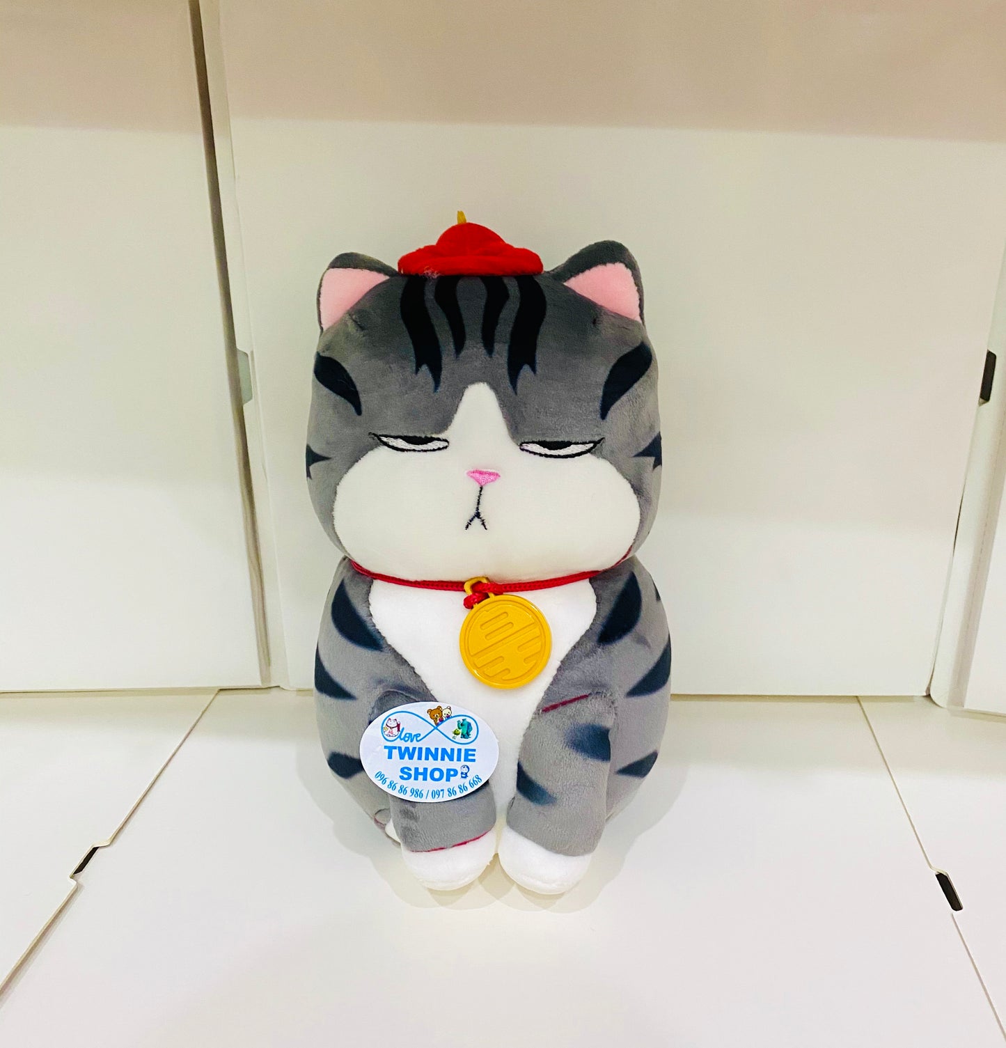 SD | Moody cat