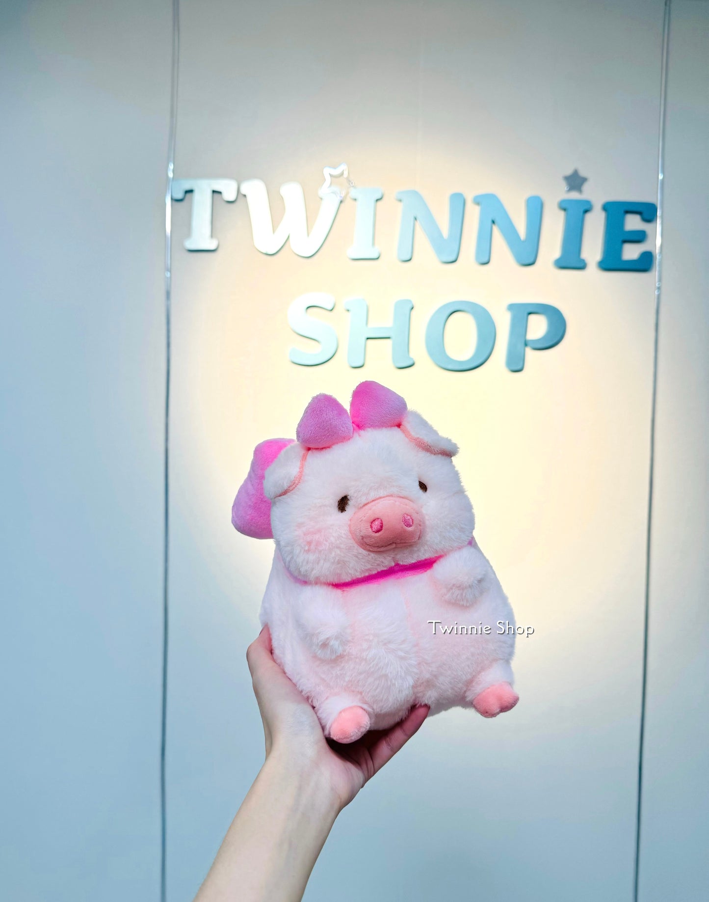 SD | Ribbon piggy