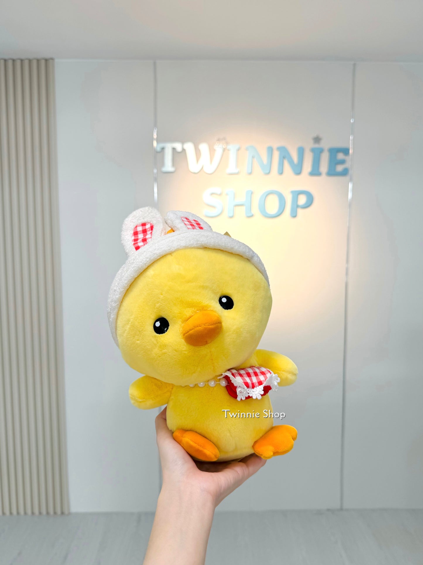 SD | Duck
