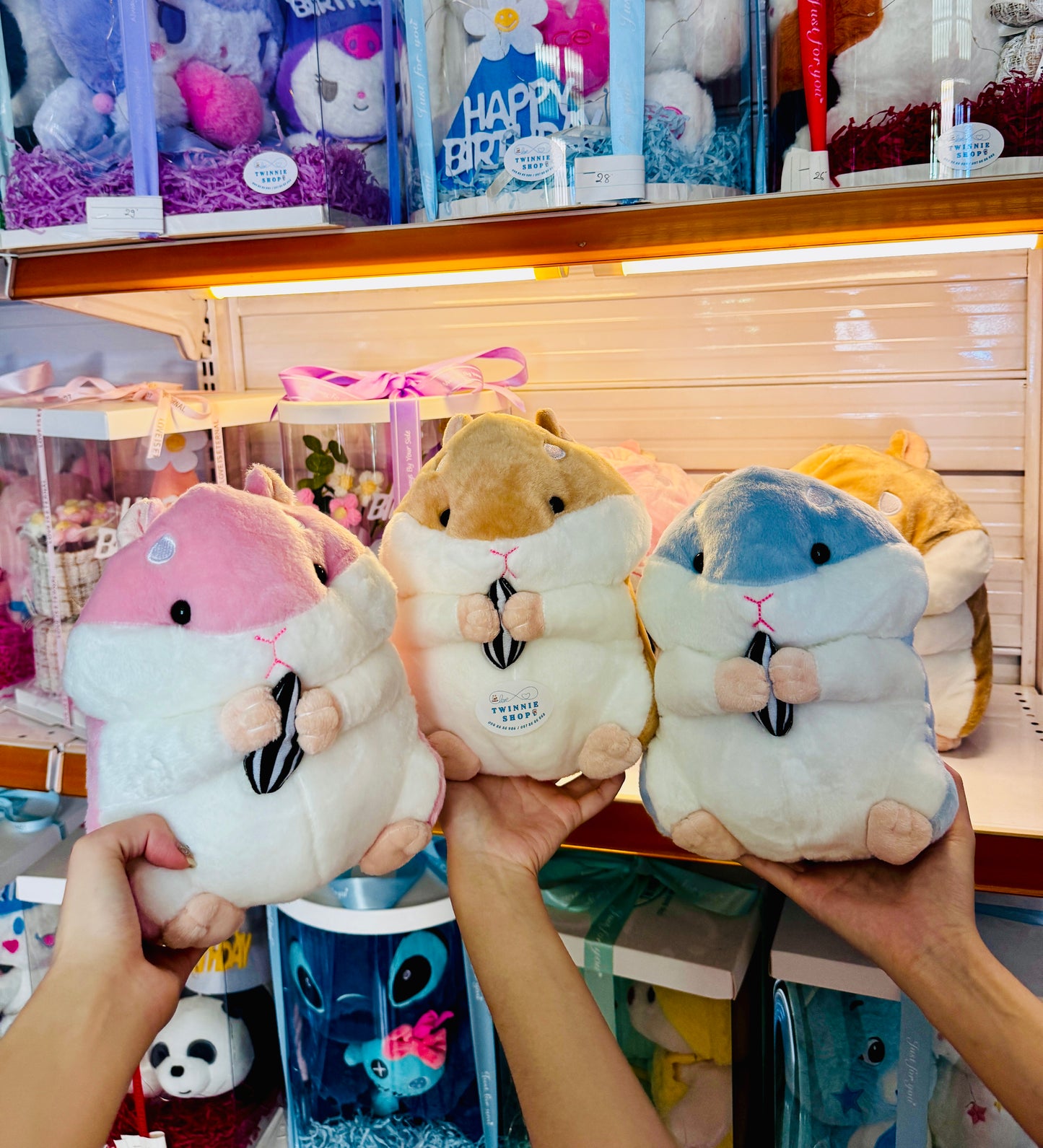 SD | Hamster