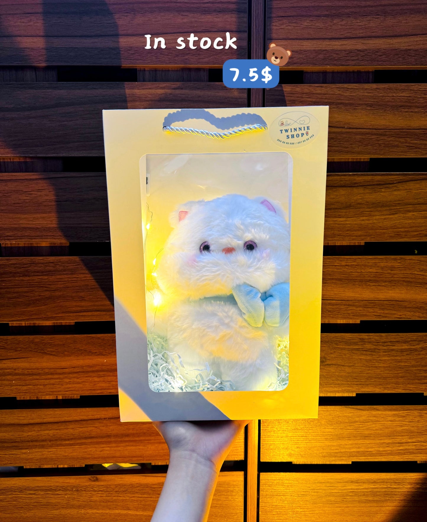 SRB | Ribbon cat gift bag