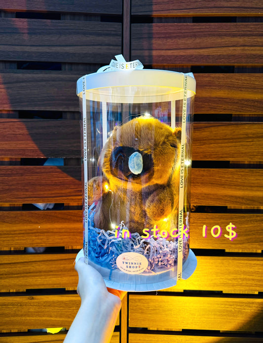 SRB | Capybara mini box