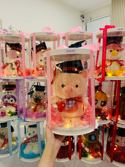 GRA | Piggy graduate set