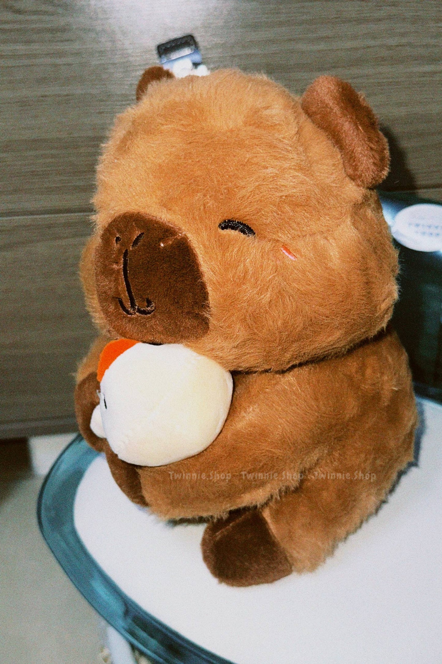 SD | Ducky capybara