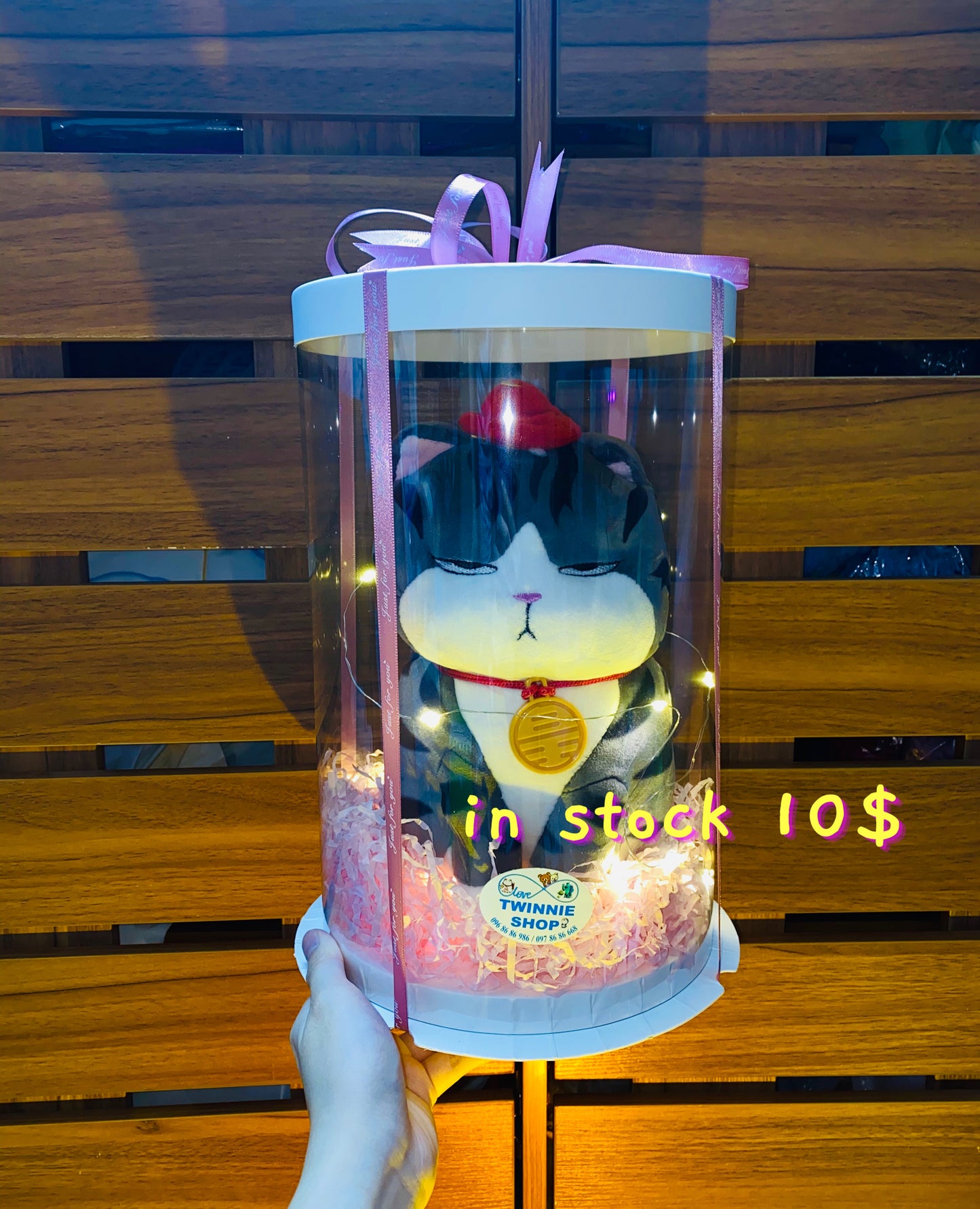SRB10 | moody cat gift box