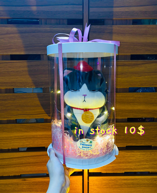 SRB10 | moody cat gift box