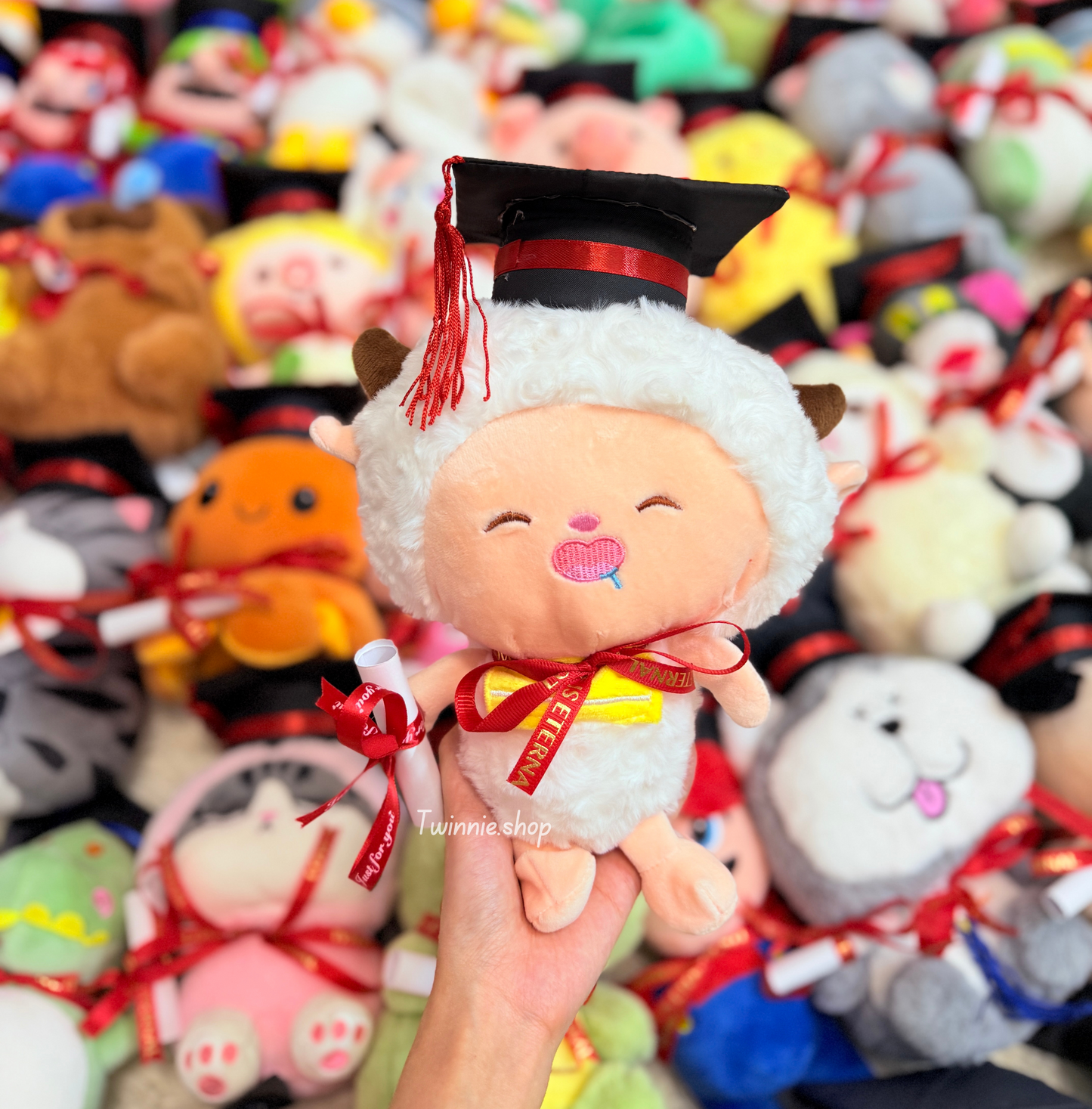 GRASD | Graduate Teddy