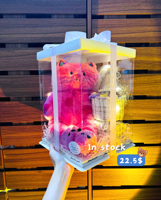 BB | Pink cat set