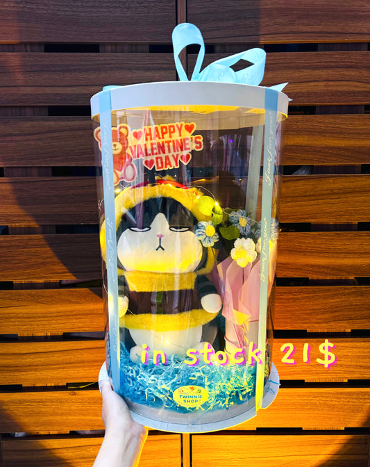 VLT | Bee cat valentine set