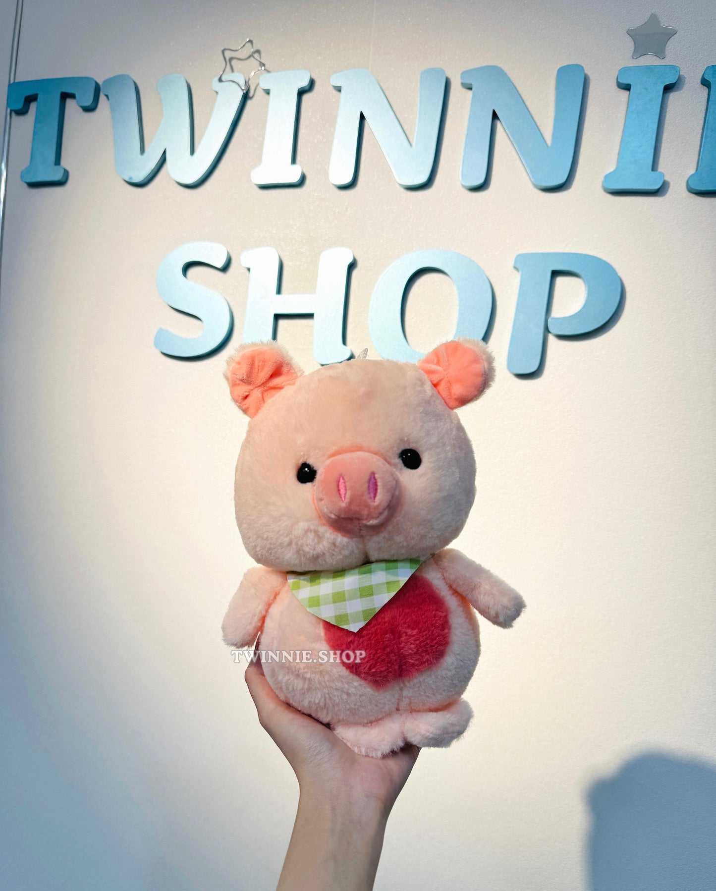 SD | Chubby pig