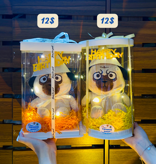 BD12 | Pug birthday set