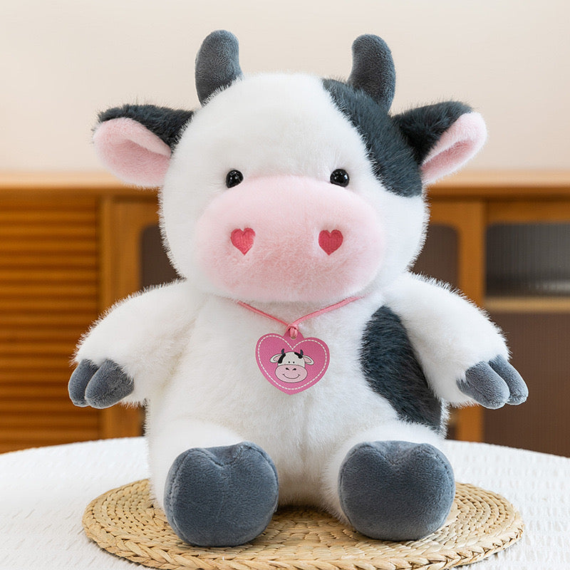 BT | Cow