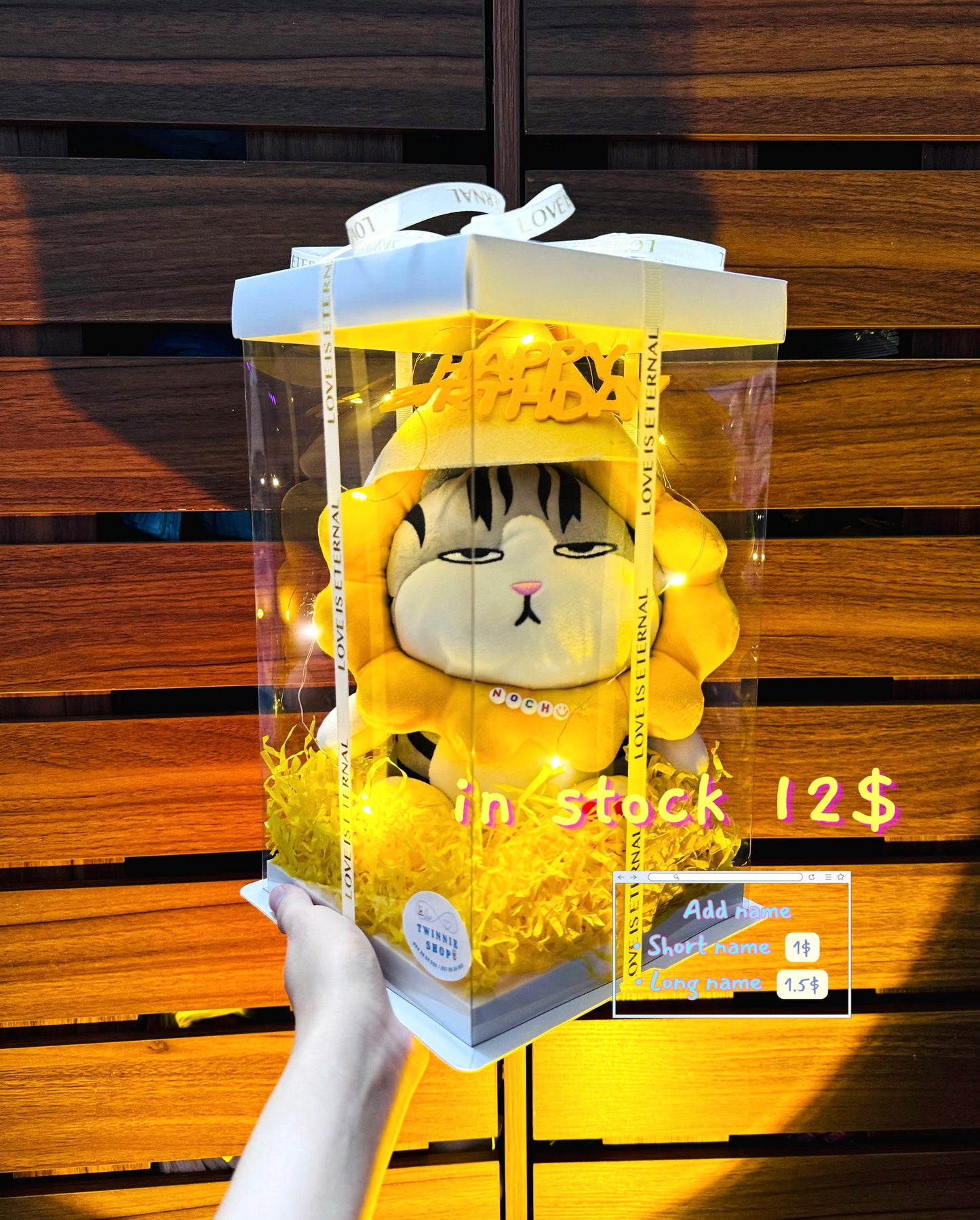 SRBBD | sunflower cat birthday box