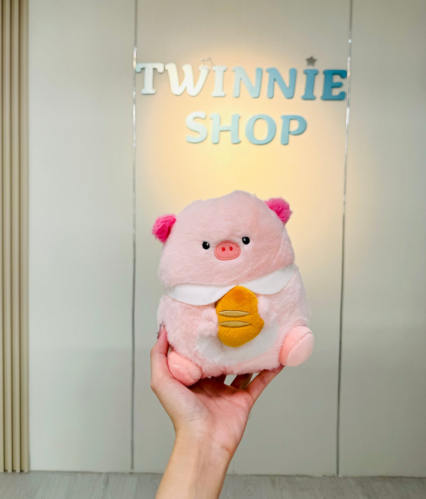 SD | Cute teddy