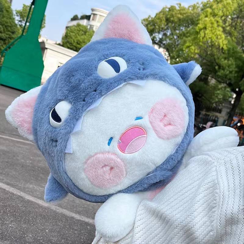 SD | Shark cat