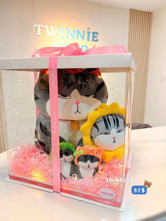 BB | Moody cat family gift box