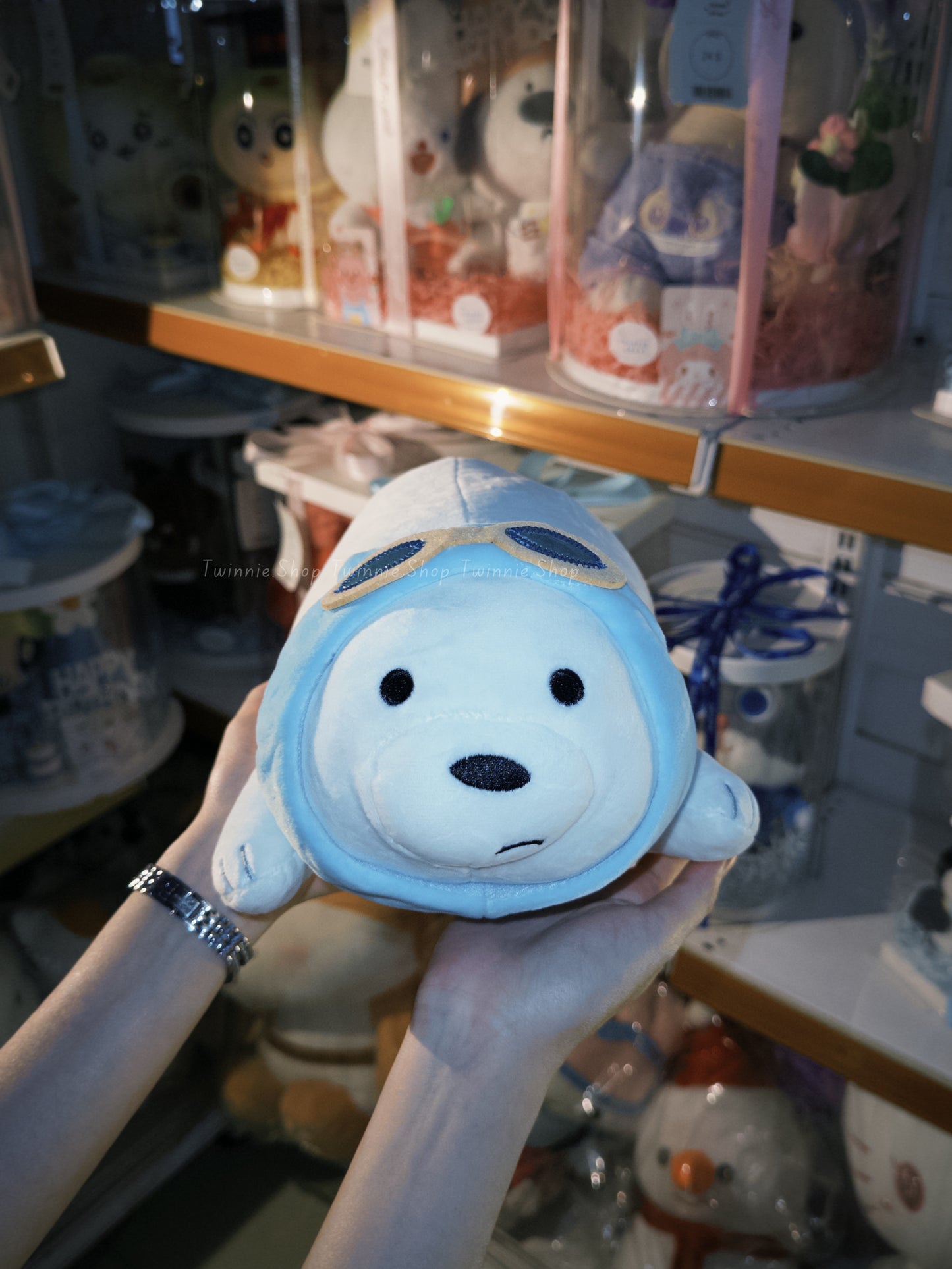 SD | Glasses ice bear