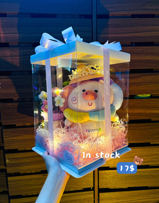 BD16 | rainbow pig birthday gift box