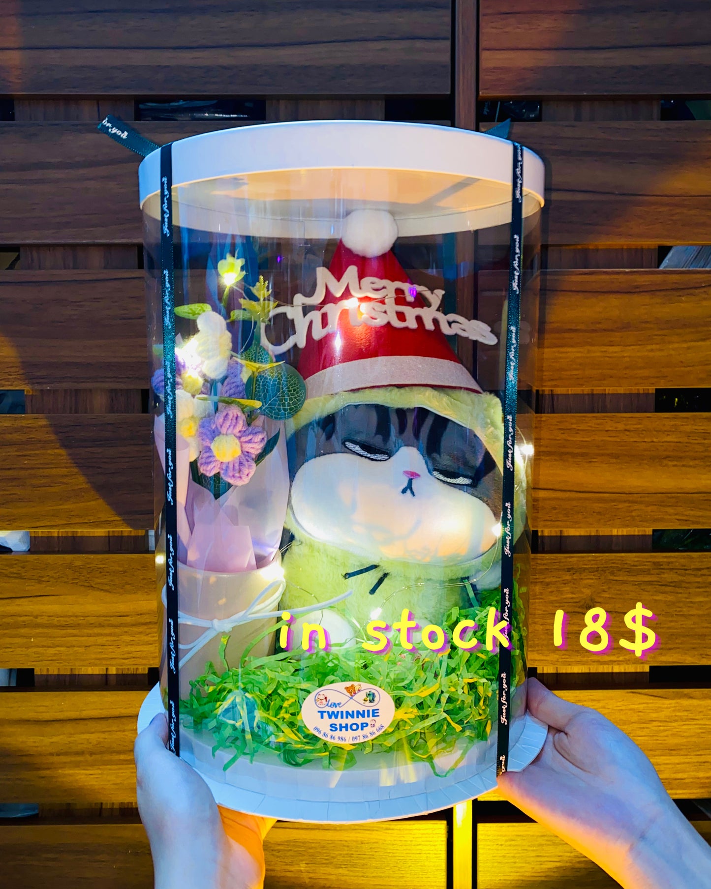 Xmas | Colorful cat gift box