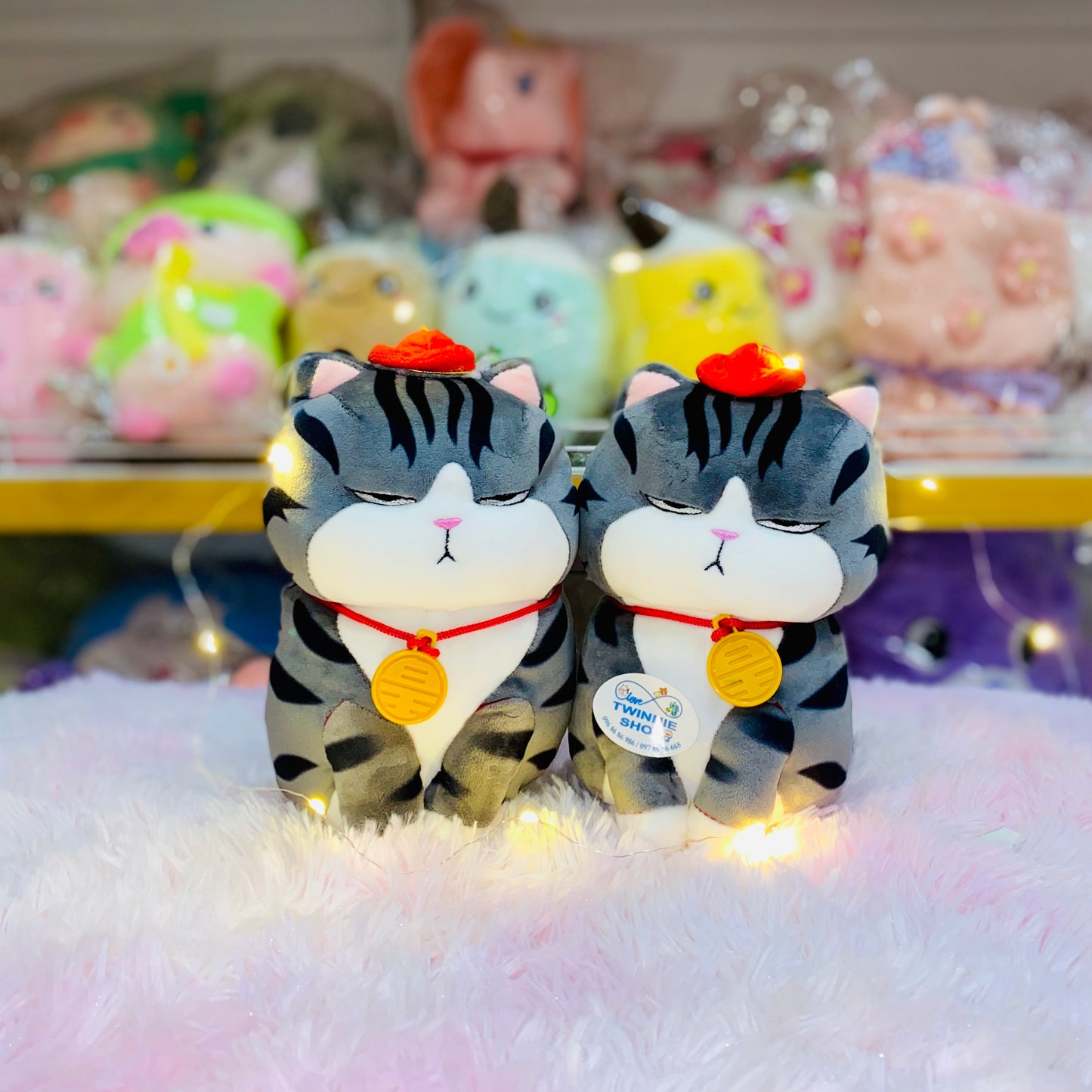 SD | Moody cat
