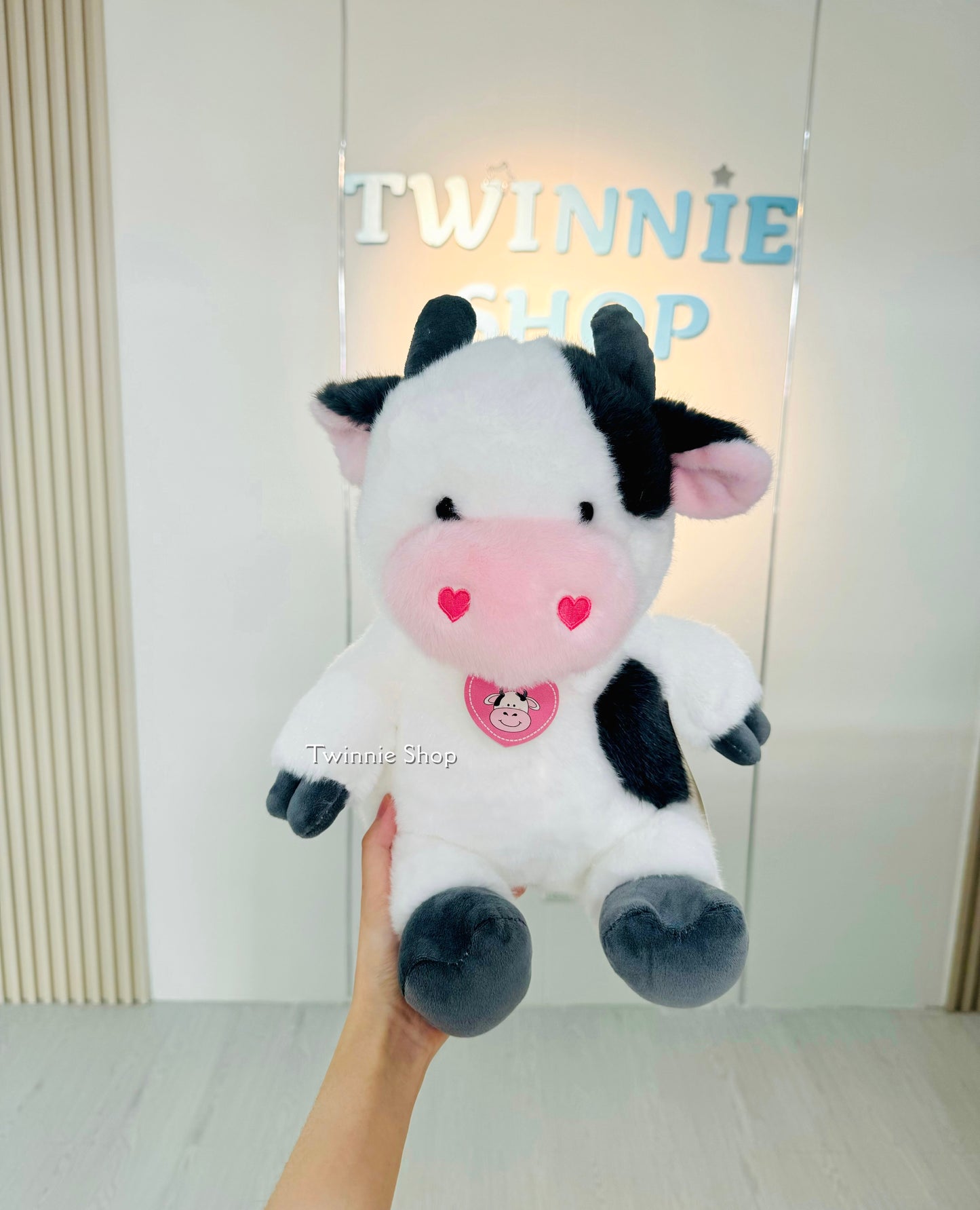 BT | Cow