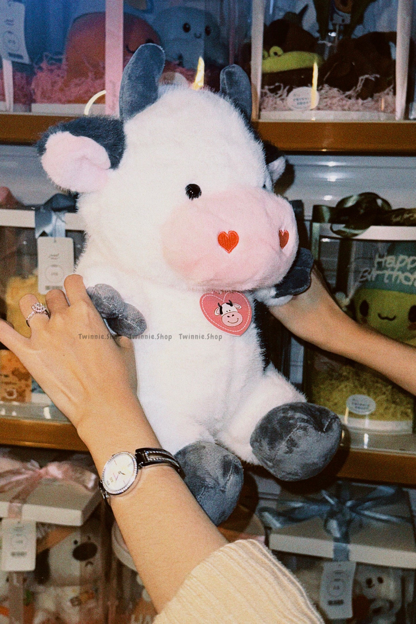 BT | Cow