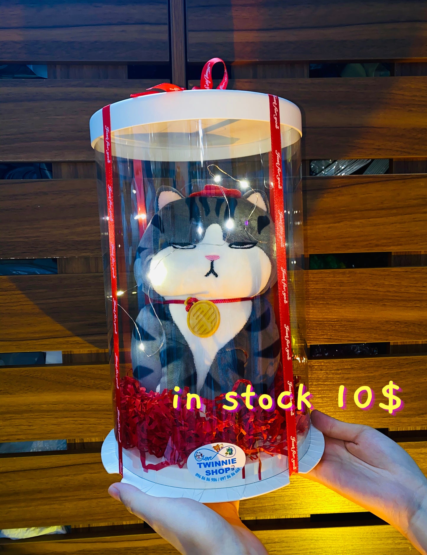 SRB10 | moody cat gift box